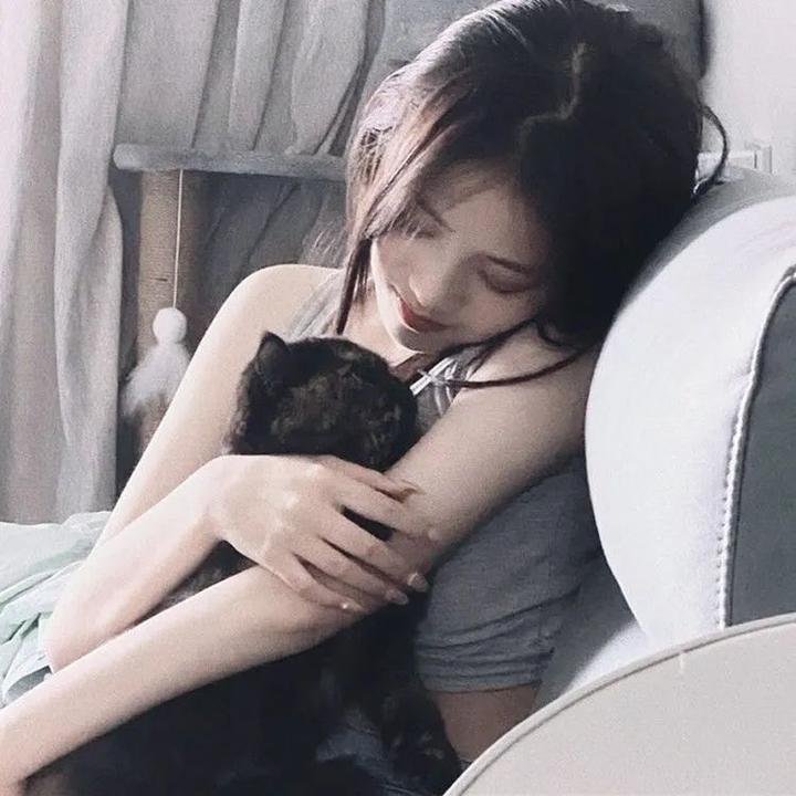 多罗罗2019