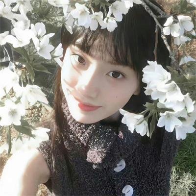 为黛西小姐开车