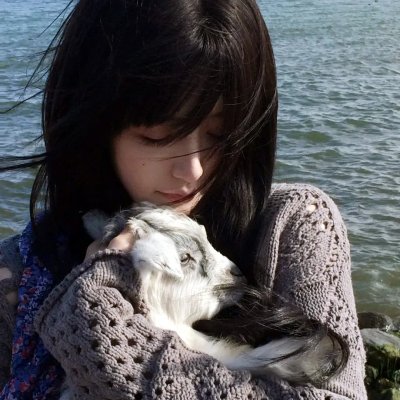 第3朵玫瑰